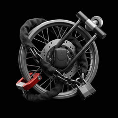 Bike Locks & Security