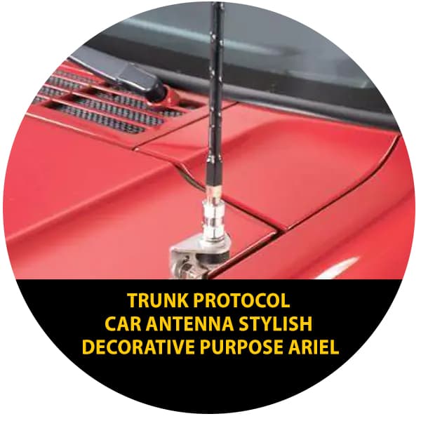 Trunk Protocol Car Antenna Stylish Decorative Purpose Ariel collection image at Sehgal Motors Pakistan