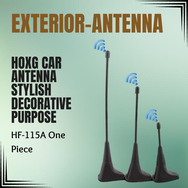 Hoxg Car Antenna Stylish Decorative Purpose HF-115A one piece