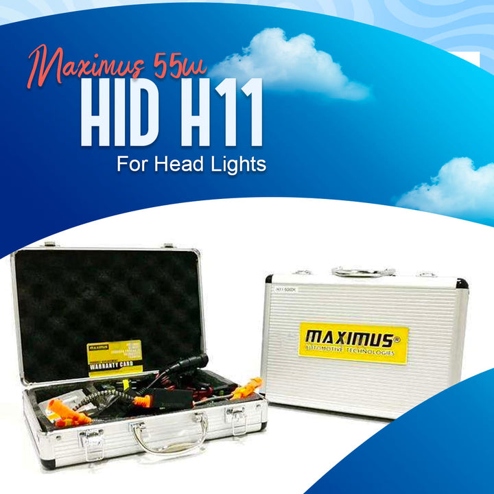 Maximus 55w HID H11 For Head Lights