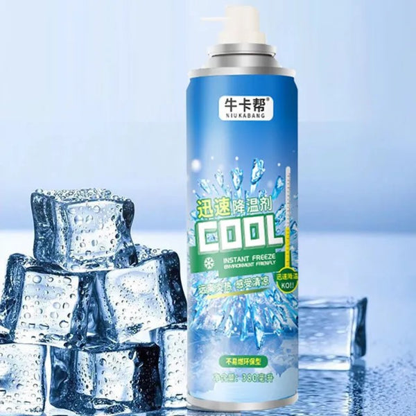 Universal Car Internal Rapid Cooling Agent 380 ML