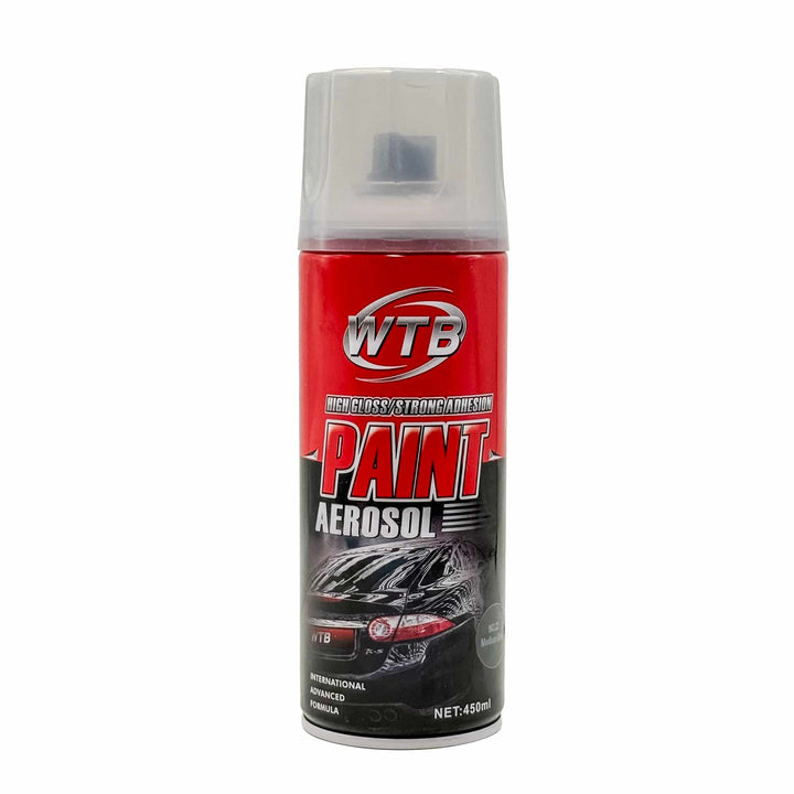 WTB High Gloss Paint Aerosol Medium Grey