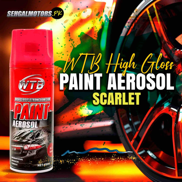 WTB High Gloss Paint Aerosol Scarlet