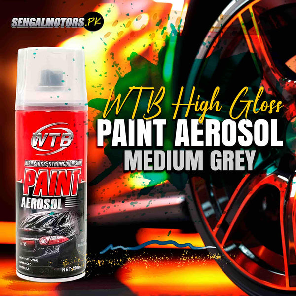 WTB High Gloss Paint Aerosol Medium Grey