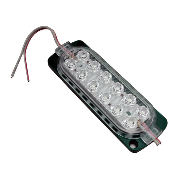 12 SMD LED Module Light Green