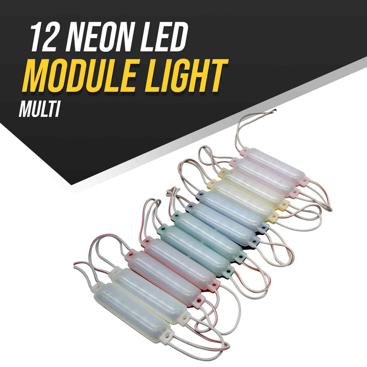12 Neon LED Module Light Multi